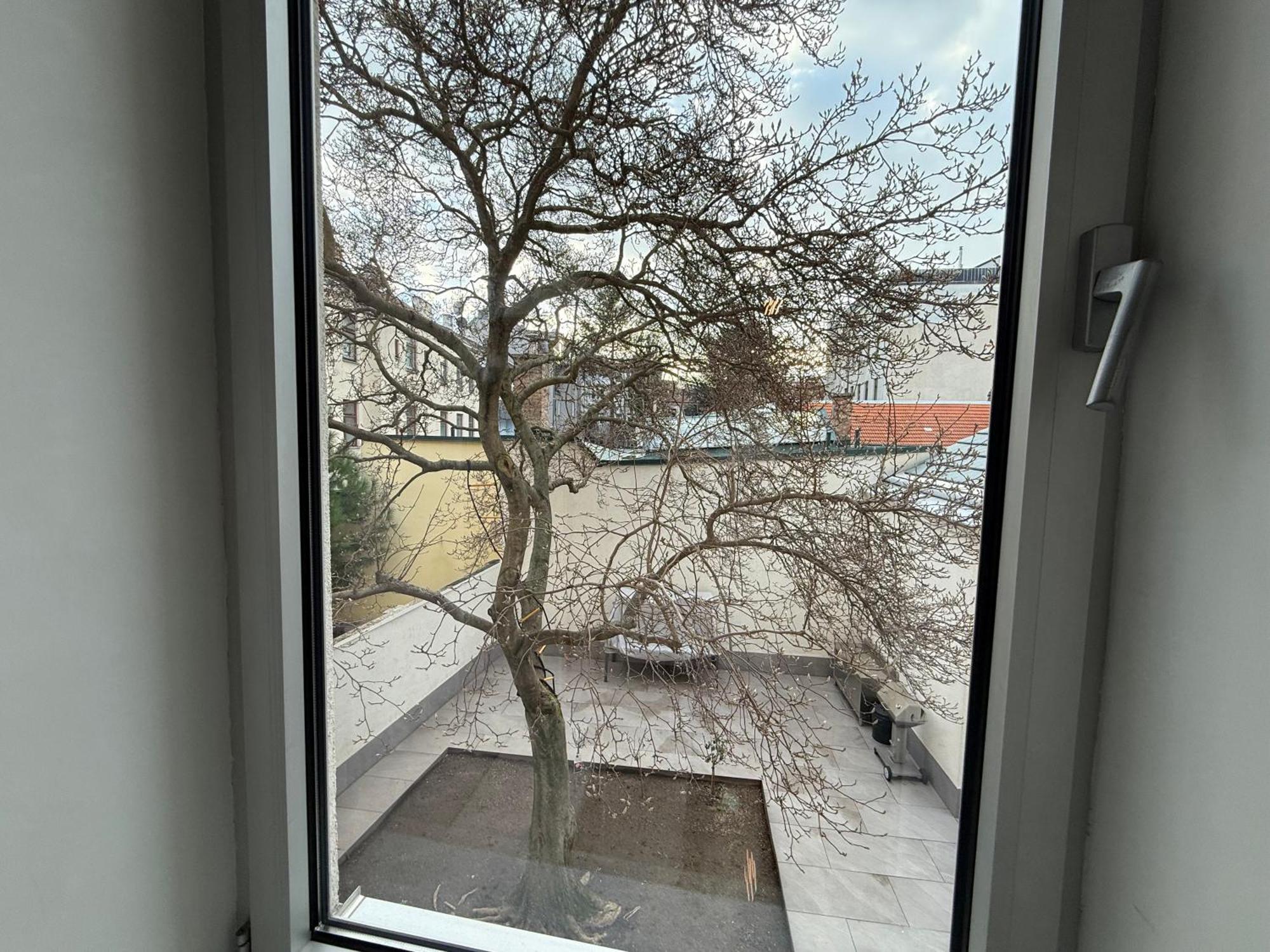 Apartment Number 4 维也纳 外观 照片